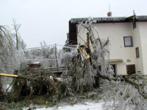 Žled 2014, foto M. Zver (113)